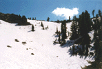 SnowBasin