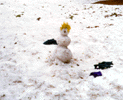 [Snow Man]